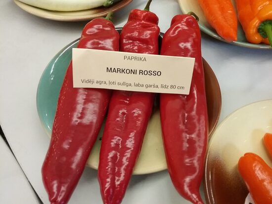 Маркони Россо